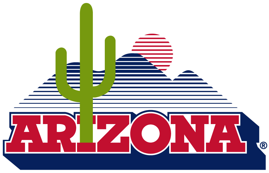 Arizona Wildcats 1989-2013 Secondary Logo diy DTF decal sticker